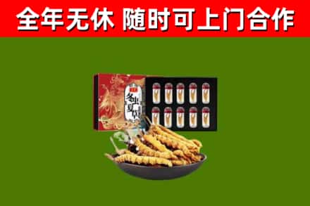 汕头烟酒回收冬虫夏草礼盒.jpg